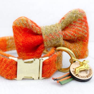 Dackel Hundehalsband + Fliege Set Cozy Fall Orange, Grün
