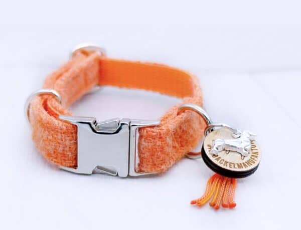 Dackel Hundehalsband Sunset Orange