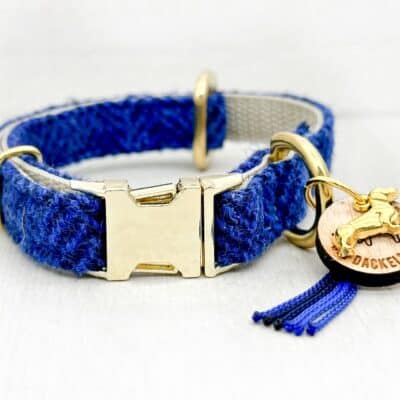 Dackel Hundehalsband The Royal Blau