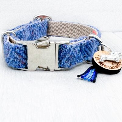 Dackel Hundehalsband Windsor Blau