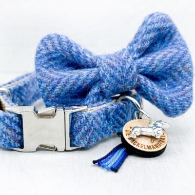 Dackel Hundehalsband + Fliege Set Windsor Blau