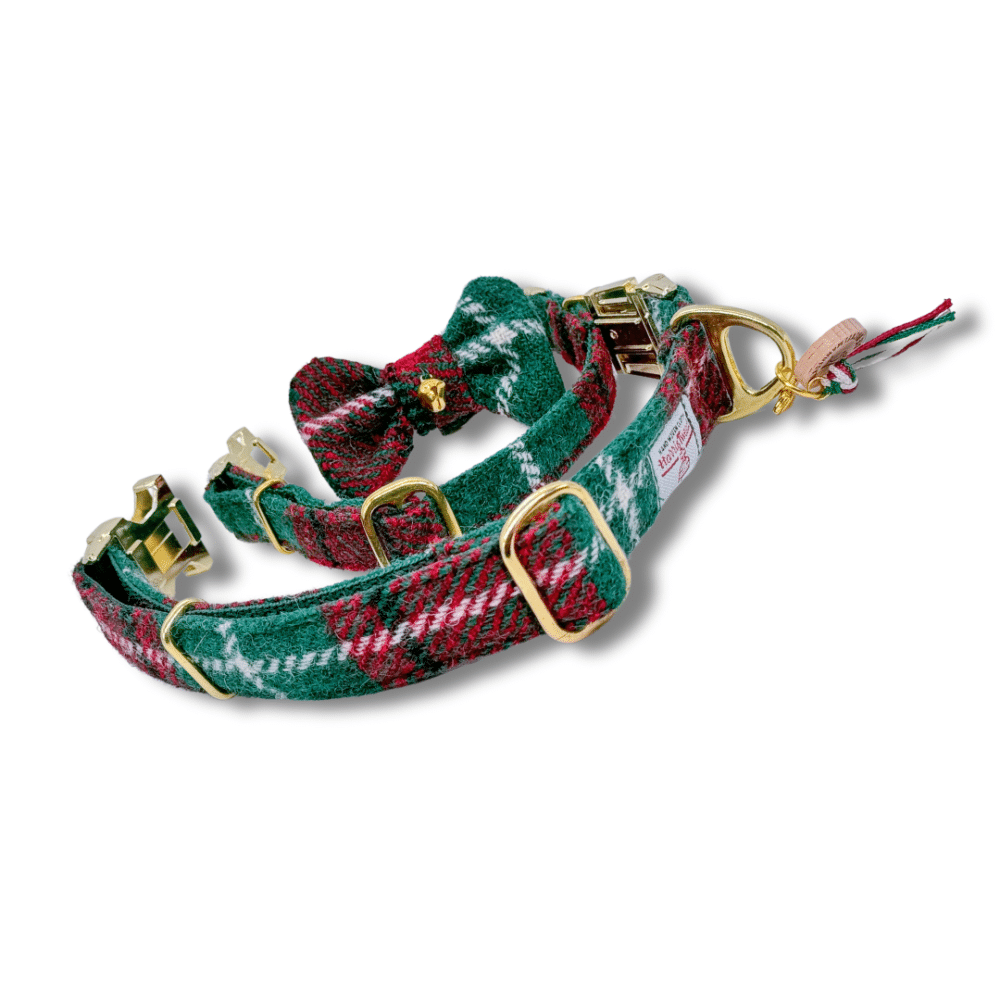 HARRIS TWEED® Hundeleine Happy Holidays – Bild 3